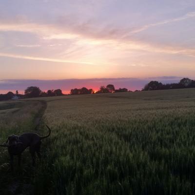M Weeber Laferlanderie Sonnenuntergang