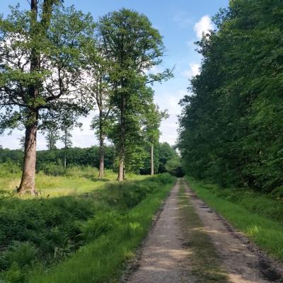 M Weeber Parc Naturel Perche 2