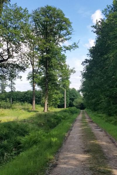 M Weeber Parc Naturel Perche 2