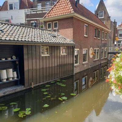 Gouda 163311
