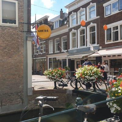 Gouda 163445