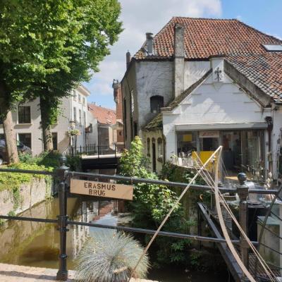 Gouda 163924